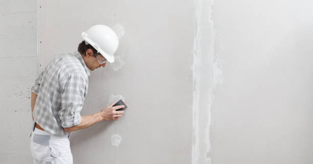 Best Fire-Damaged Drywall Repair  in Lake St Croix Beach, MN